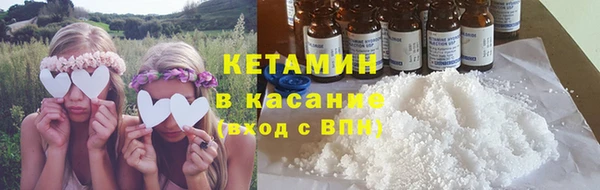 индика Киреевск
