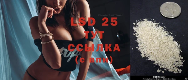 индика Киреевск