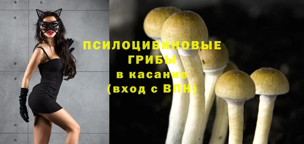 apvp Кинешма