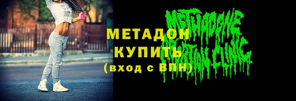 индика Киреевск