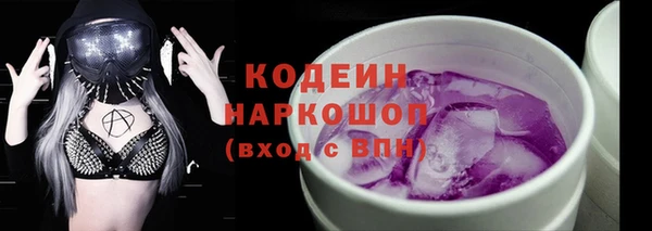 индика Киреевск