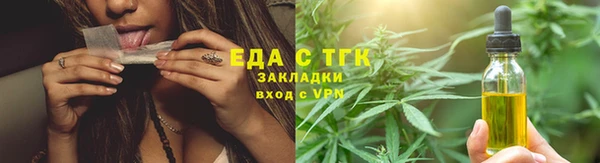 индика Киреевск