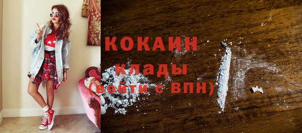 индика Киреевск