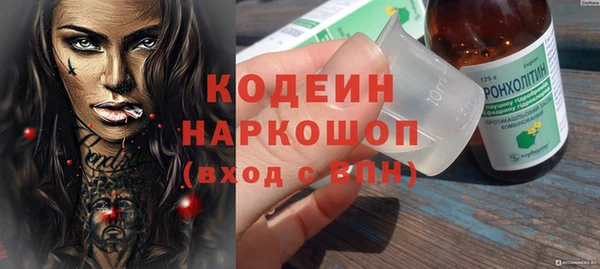 индика Киреевск
