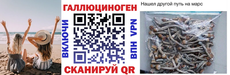Галлюциногенные грибы прущие грибы  блэк спрут зеркало  Щёлкино 