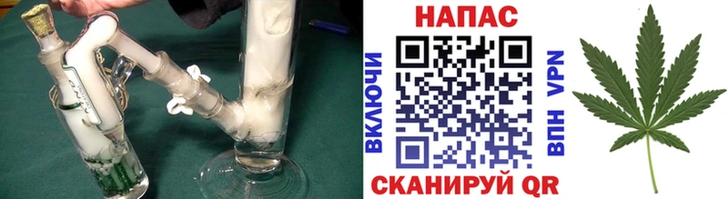 Бошки Шишки сатива  как найти закладки  Щёлкино 